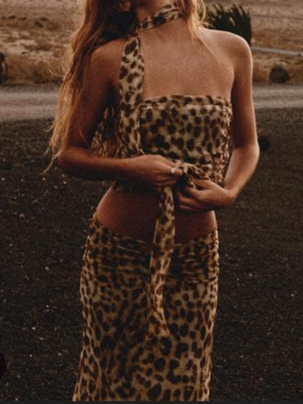 Zara leopard set